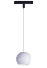 Встраиваемый в направляющие подвесной светильник AZzardo Skye AZ4637 цена и информация | Трековые светильники и шинопроводы | hansapost.ee