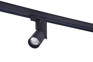 Встраиваемый направленный светильник AZzardo Santos AZ4203 цена и информация | Монтируемые светильники, светодиодные панели | hansapost.ee