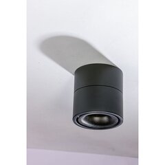 Потолочный светильник AZzardo Costa AZ4553 цена и информация | Потолочные светильники | hansapost.ee