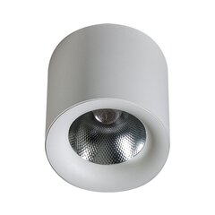 Потолочный светильник AZzardo Mane AZ4327 цена и информация | Потолочные светильники | hansapost.ee