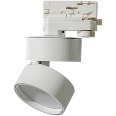 Встраиваемый в 3-фазные направляющие светильник AZzardo Mona AZ4541 цена и информация | Трековые светильники и шинопроводы | hansapost.ee