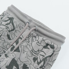 Cool Club спортивные штаны для мальчиков Сумасшедшие приключения (Looney Tunes), LCB2512562-00 цена и информация | Штаны для мальчиков | hansapost.ee