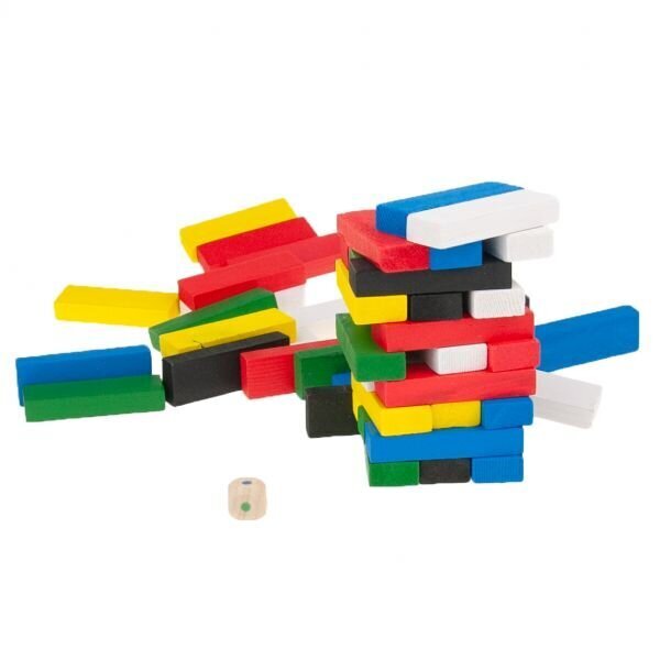 Lauamäng Wooden Toys Wiss Toy, 48 tk hind ja info | Lauamängud ja mõistatused perele | hansapost.ee