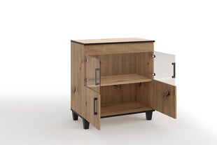 Шкаф для гостиной ADRK Furniture POL06, коричневый цвет цена и информация | Шкафчики в гостиную | hansapost.ee
