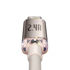 Кабель Baseus Crystal Shine Series USB - Lightning 2,4A 20Вт 1,2м (CAJY001104) цена и информация | Кабели для телефонов | hansapost.ee