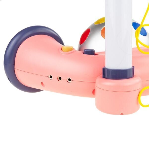 Multifunktsionaalne karaokemikrofon koos alusega hind ja info | Arendavad laste mänguasjad | hansapost.ee