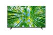 LG 65UQ79003LA hind ja info | Televiisorid | hansapost.ee