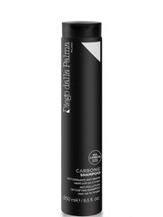 Шампунь для волос Diego Dalla Palma detoxifying anti smog, 250 мл цена и информация | Шампуни | hansapost.ee