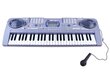 Klaver koos mikrofoniga Keyboard MQ-808USB, 54 klahvi цена и информация | Arendavad laste mänguasjad | hansapost.ee