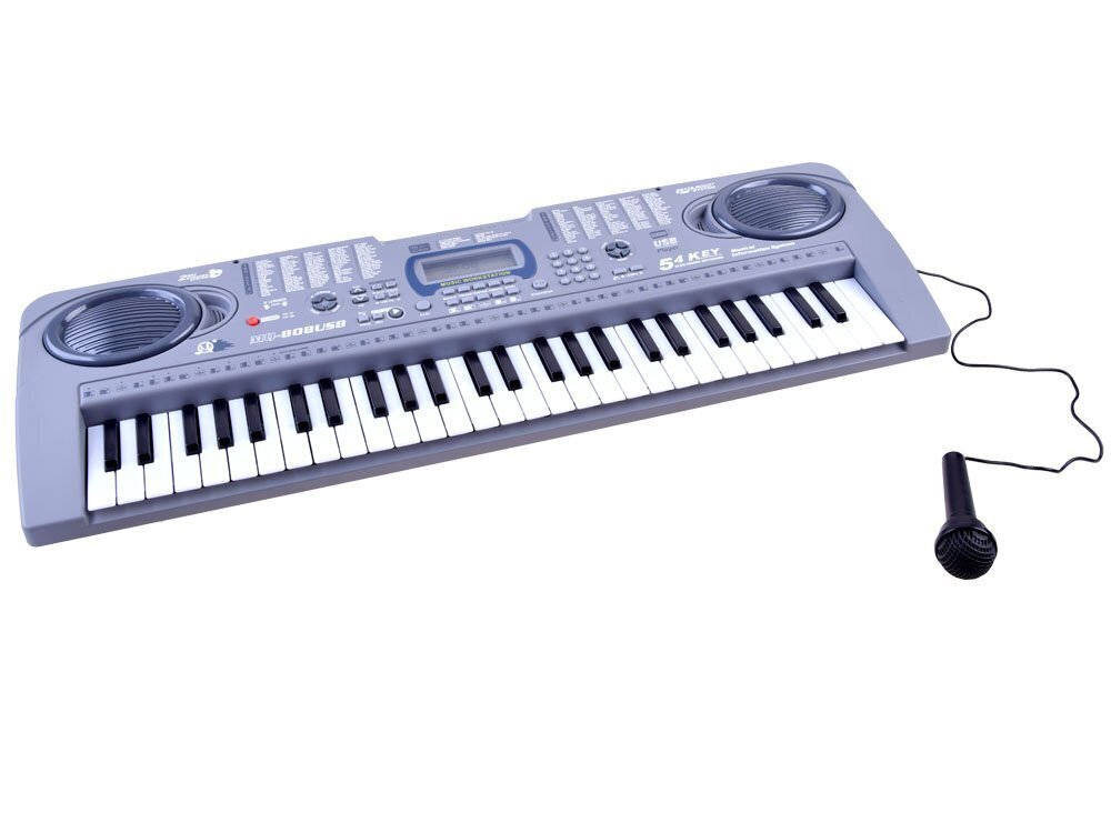 Klaver koos mikrofoniga Keyboard MQ-808USB, 54 klahvi цена и информация | Arendavad laste mänguasjad | hansapost.ee
