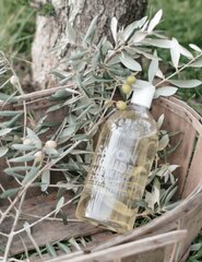 Пополнение для жидкого мыла Compagnie de Provence Marseille Olive wood 1л цена и информация | Мыло | hansapost.ee