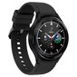 Kaitseklaas Spigen Samsung Galaxy Watch 4 Classic 42mm jaoks hind ja info | Nutikellade aksessuaarid ja tarvikud | hansapost.ee