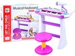 Klaver koos mikrofoni ja tooliga, roosa hind ja info | Arendavad laste mänguasjad | hansapost.ee