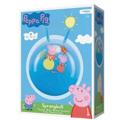 Võimlemispall - hüppepall Peppa Pig, 45-50 cm hind ja info | Arendavad laste mänguasjad | hansapost.ee