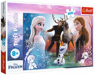 Пазл Puzzle 289 Frozen 2, 300шт цена и информация | Пазлы | hansapost.ee