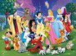 Ravensburger pusle 200 tk Disney lemmiktegelased цена и информация | Pusled lastele ja täiskasvanutele | hansapost.ee