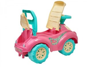 Tõukeauto, roosa цена и информация | Игрушки для малышей | hansapost.ee