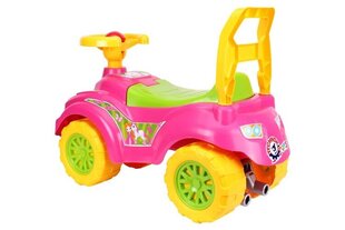 Tüdrukute tõukeauto price and information | Toys for babies | hansapost.ee