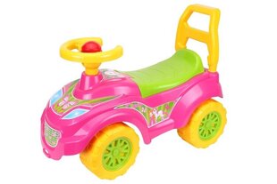 Tüdrukute tõukeauto price and information | Toys for babies | hansapost.ee