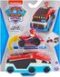 Mänguauto Paw Patrol - True Metal - Paw Patroller & Ryder hind ja info | Mänguasjad poistele | hansapost.ee