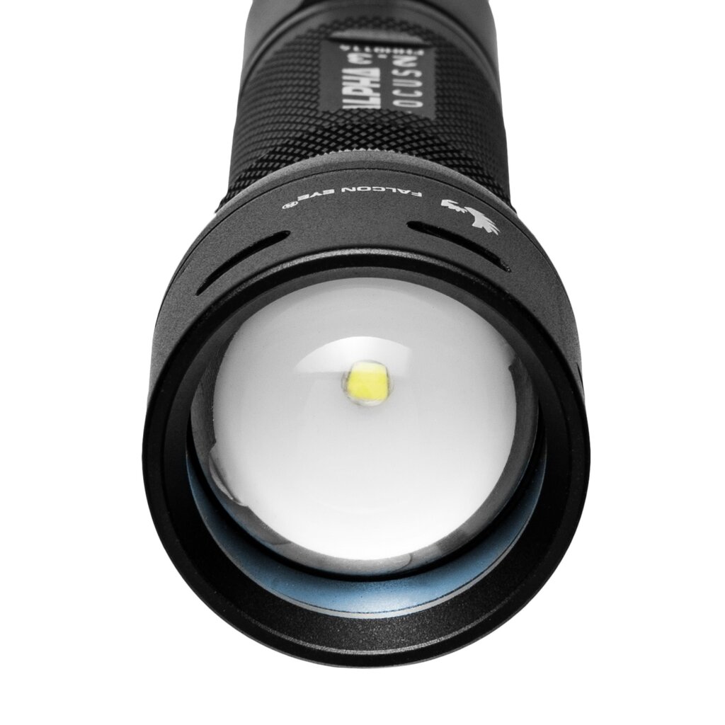Fokusseeritav taskulamp Falcon Eye 300lm ALPHA 2.3 цена и информация | Taskulambid, pealambid ja prožektorid | hansapost.ee