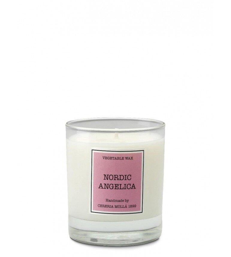 Lõhnaküünal Cereria Molla Nordic angelica 230 g цена и информация | Küünlad, küünlajalad | hansapost.ee