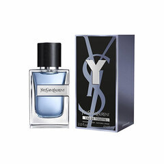 Yves Saint Laurent 2022. aasta – EDT price and information | Parfüümid meestele | hansapost.ee