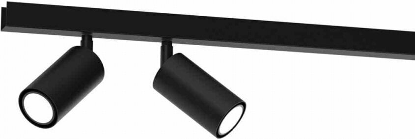 Milagro Ceiling lamp HUDSON BLACK 4xGU10 hind ja info | Laelambid | hansapost.ee