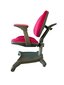 Ergonoomiline laste tool iStudy C06A, sinine hind ja info | Kontoritoolid | hansapost.ee