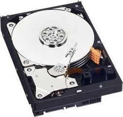 Western Digital WD Blue 500GB (WD5000AZLX) цена и информация | Внутренние жёсткие диски (HDD, SSD, Hybrid) | hansapost.ee