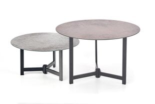 Комплект из 2 столиков Halmar Twins, серый/коричневый/черный цена и информация | Журнальные столики | hansapost.ee