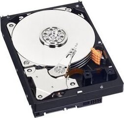 Western Digital WD Blue 500GB (WD5000AZRZ) цена и информация | Внутренние жёсткие диски (HDD, SSD, Hybrid) | hansapost.ee
