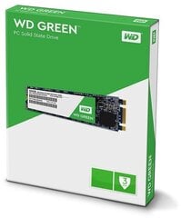 Western Digital Green 240GB M.2 SATA3 (WDS240G2G0B) цена и информация | Внутренние жёсткие диски (HDD, SSD, Hybrid) | hansapost.ee