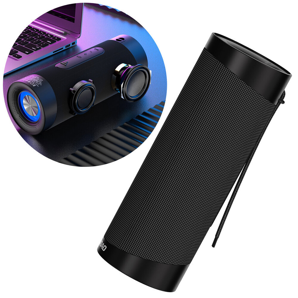 Dudao Y10Pro, Wireless Bluetooth 5.0 RGB Light Black hind ja info | Kõlarid | hansapost.ee