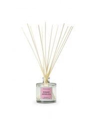 Lõhnadifuuser Cereria Molla Nordic angelica 100 ml price and information | Incense sticks and home fresheners | hansapost.ee