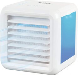 Beldray Охладитель воздуха Ice Cube Plus EH3139V2VDE цена и информация | Вентиляторы | hansapost.ee