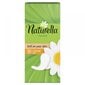 Pesukaitsmed Naturella Camomile Normal, 20 tk. цена и информация | Tampoonid, hügieenisidemed ja menstruaalanumad | hansapost.ee