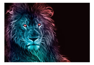 Fototapeet - Abstract lion - rainbow 350x245 cm hind ja info | Fototapeedid | hansapost.ee