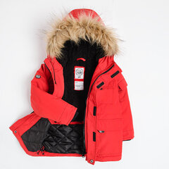 Cool Club куртка для мальчиков, COB2511485 цена и информация | Зимняя одежда для детей | hansapost.ee