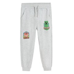 Cool Club спортивные брюки для мальчиков Minecraft, LCB2521605 цена и информация | Штаны для мальчиков | hansapost.ee