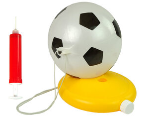 Футбольный мяч с аксессуарами цена и информация | Игрушки для мальчиков | hansapost.ee