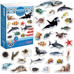 Набор магнитных морских животных МВ 6032-18 цена и информация | Развивающие игрушки для детей | hansapost.ee