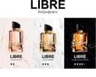 Yves Saint Laurent Libre - EDT цена и информация | Parfüümid naistele | hansapost.ee