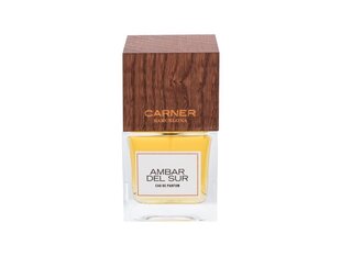 Custo Barcelona Ambar Del Sur EDP 100ml hind ja info | Parfüümid naistele | hansapost.ee