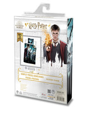 Детский комплект постельного белья Harry Potter  140x200см, 2 части цена и информация | Постельное белье | hansapost.ee