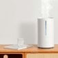 Õhuniisutaja Xiaomi Smart Humidifier 2, BHR6026EU цена и информация | Õhuniisutajad | hansapost.ee