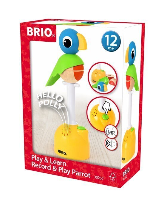 Interaktiivne mänguasi Play & Learn Parrot Brio, 30262 hind ja info | Beebide mänguasjad | hansapost.ee