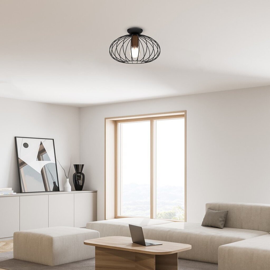 Milagro MERIDIANO 1xE27 ceiling lamp цена и информация | Laelambid | hansapost.ee