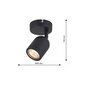 Milagro Wall lamp PORTER 1XGU10 IP44 цена и информация | Laelambid | hansapost.ee
