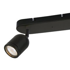 светильник, 2xgu10 ip44 цена и информация | Потолочные светильники | hansapost.ee